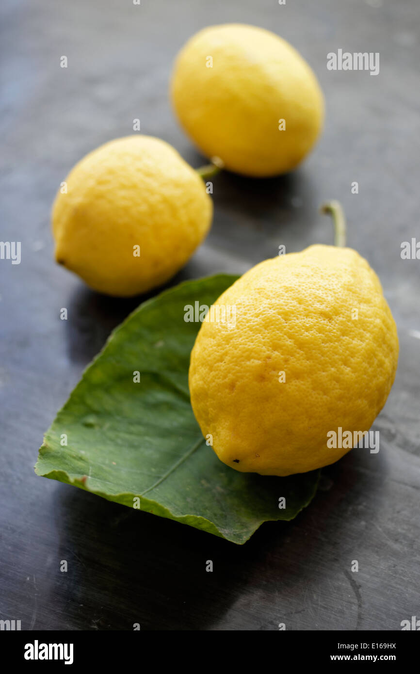 Zitrone Obst citrus gelb Bio Blatt Essen Saft drei sauren Zitronen Stockfoto