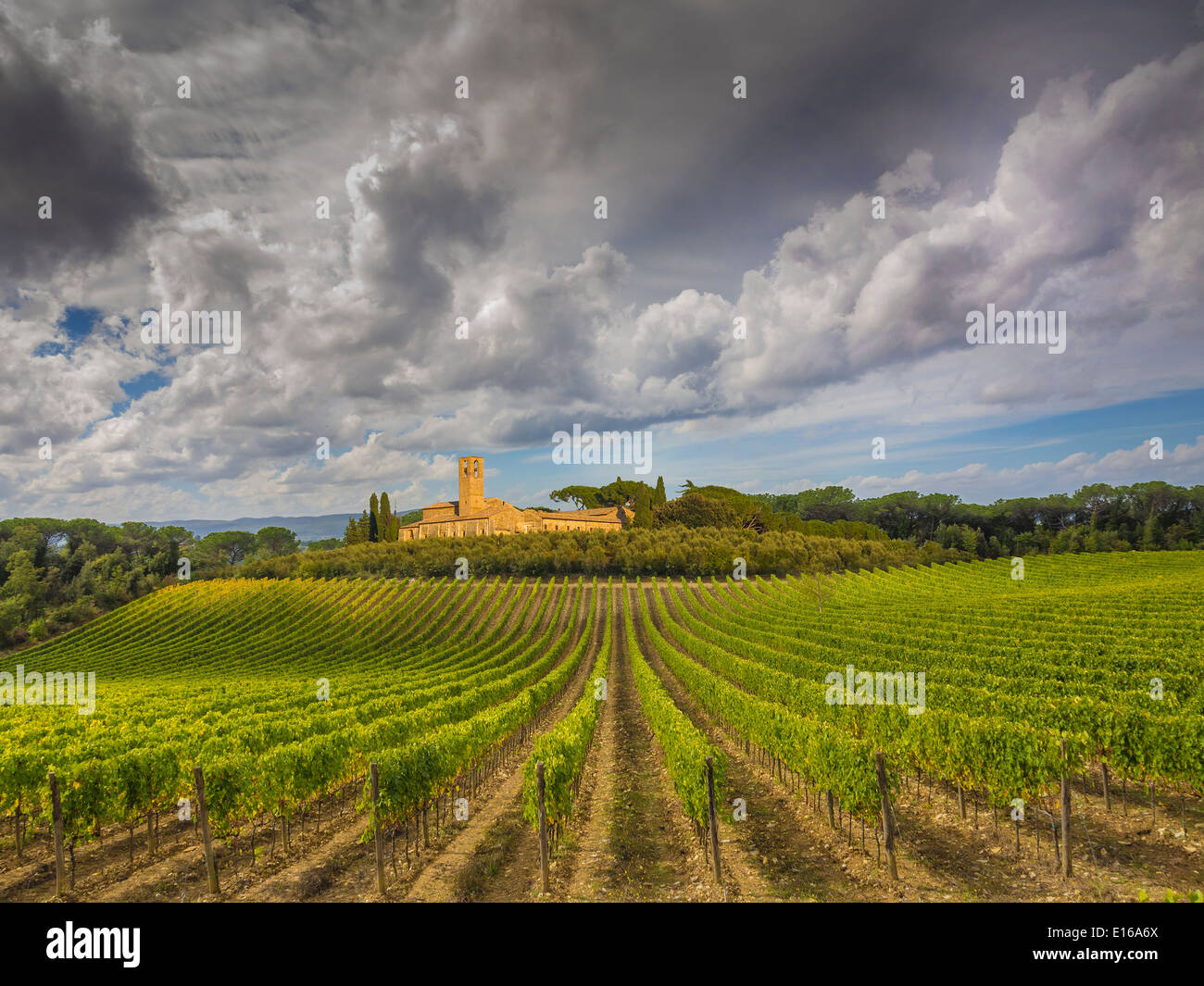 Herbst-Weingut in der Toskana, Italien Stockfoto