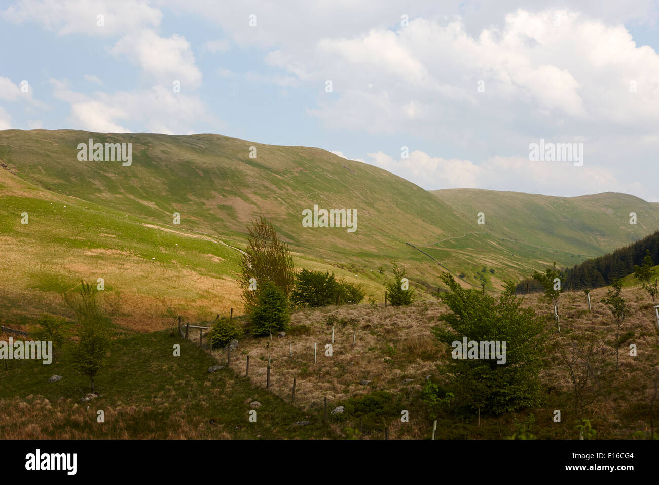 die Borrowdale Tal Cumbria uk Stockfoto