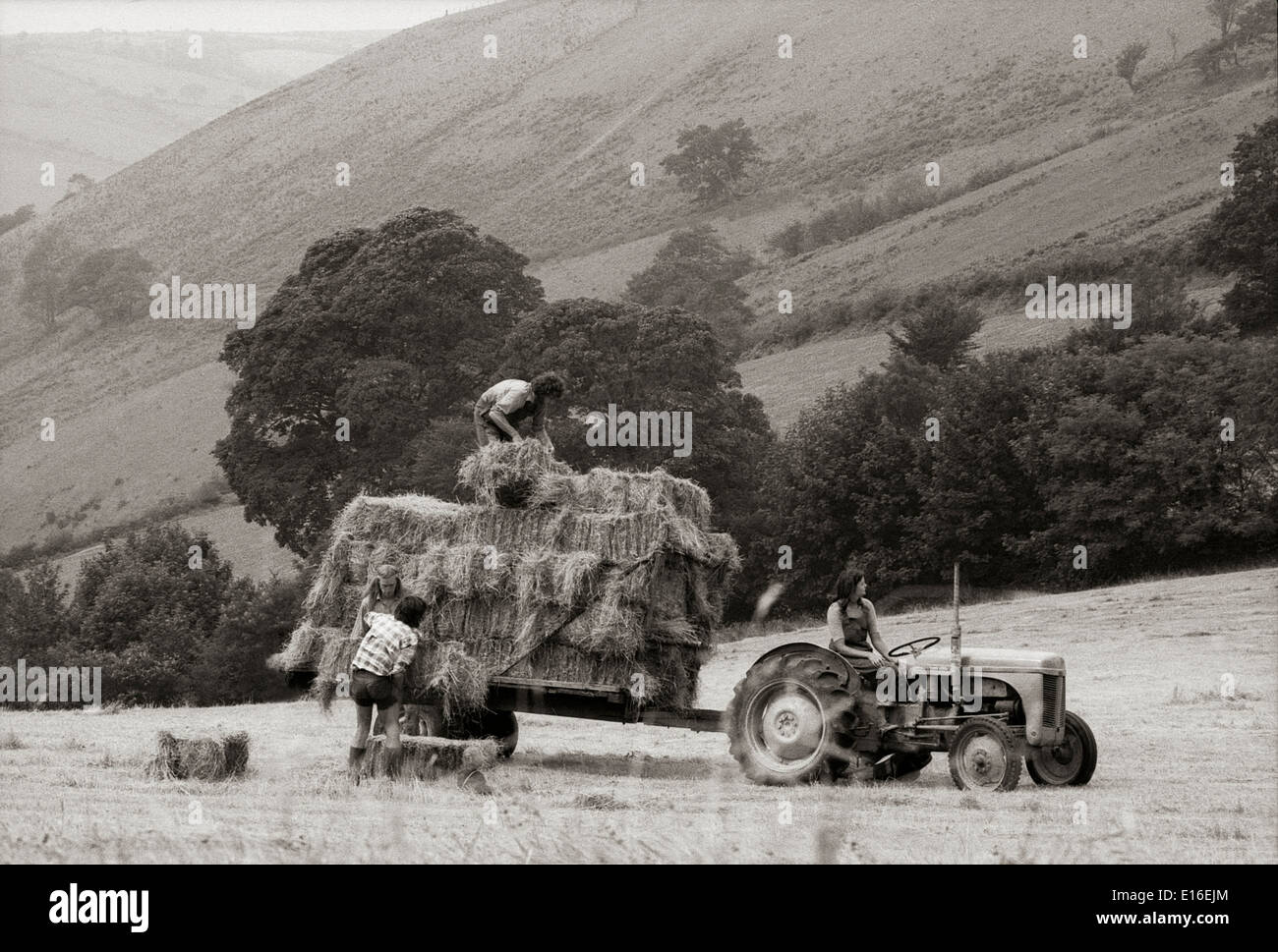 Frau, die einen Traktor fährt, Männer, die Ballen auf einen laden Der Traktor im Sommerfeld bei der Heuernte auf einem Ländliche Bauernhof Kommune Kleinbetrieb in den Hügeln Carmarthenshire Dyfed Wales Großbritannien 1970s 1977 KATHY DEWITT Stockfoto