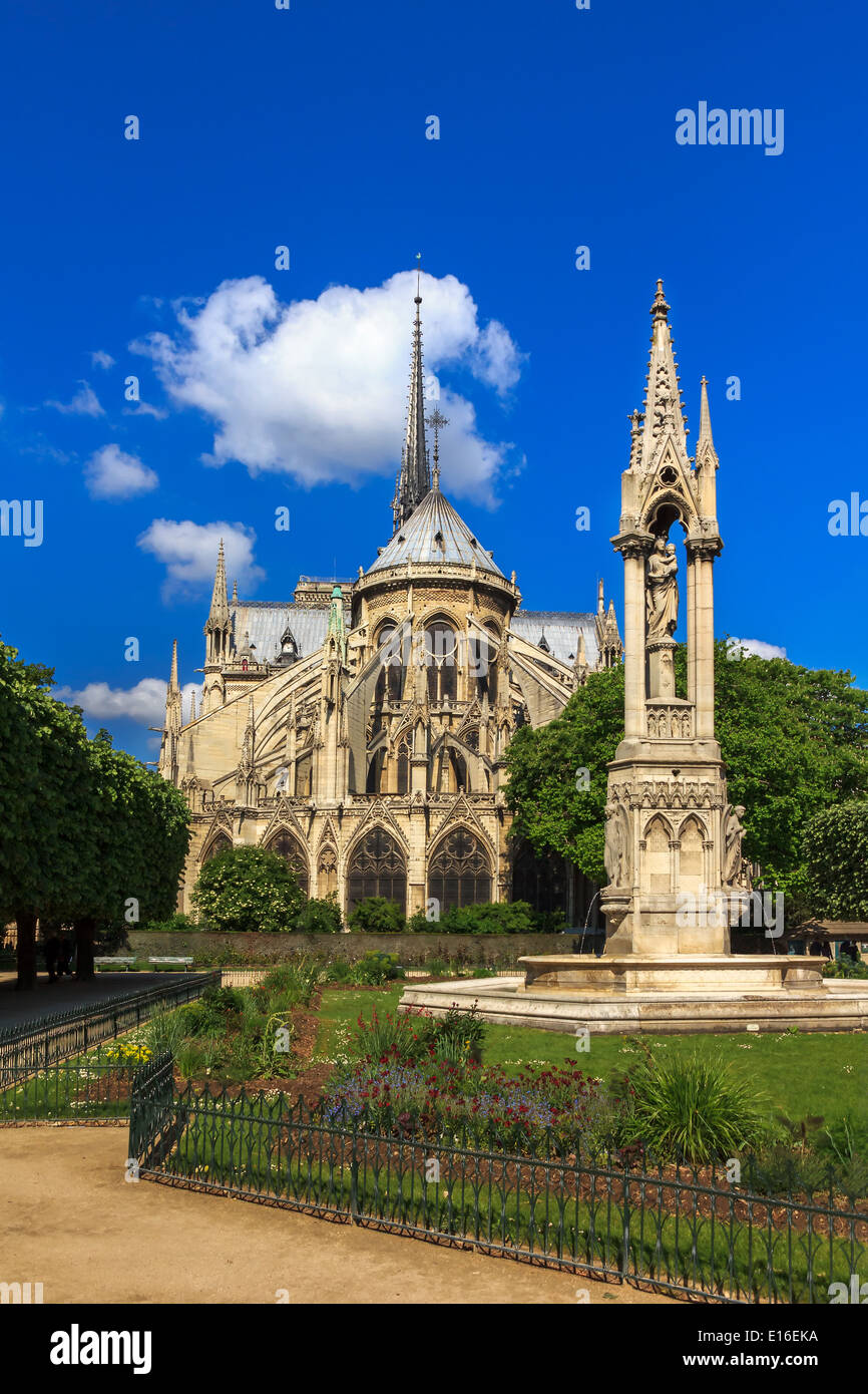 Die südliche Fassade der Kathedrale von Notre Dame de Paris im Sommer nachmittags Stockfoto