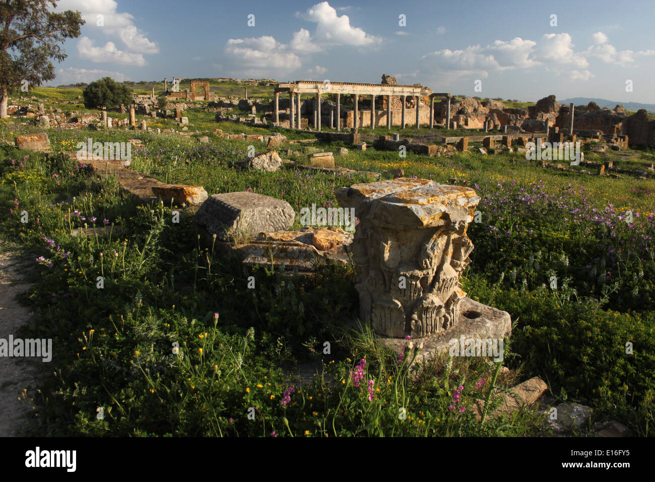 Die Ruinen von Thuburbo Maius mit der Palästra Petronii im Hintergrund Stockfoto