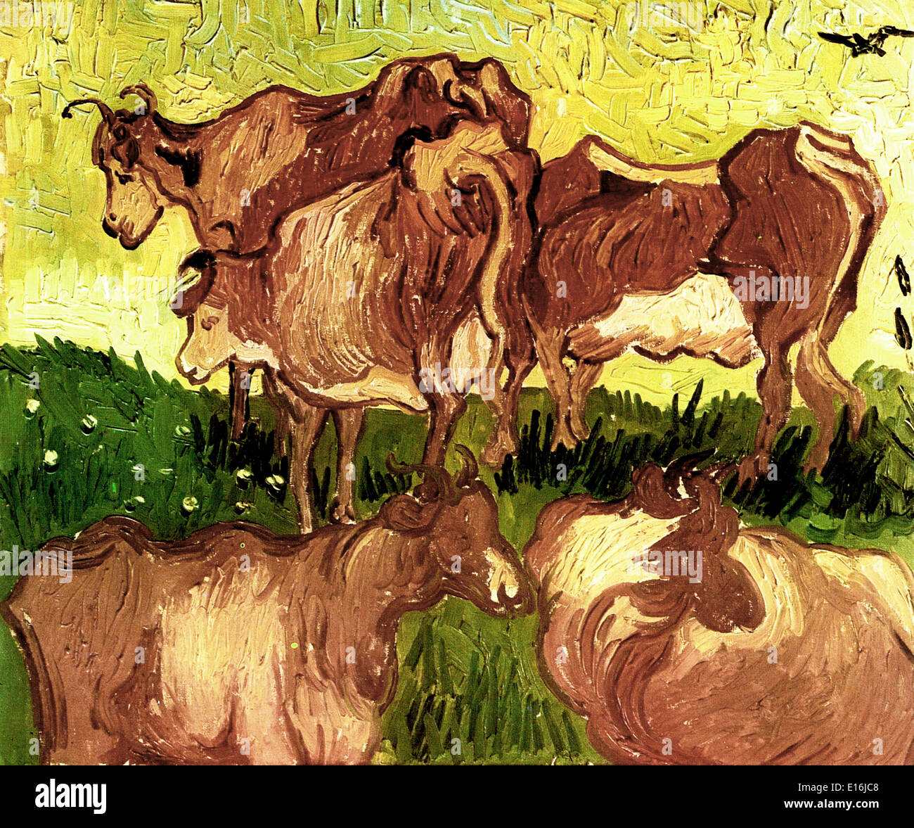 Kühe von Vincent Van Gogh Stockfoto