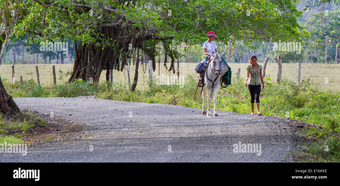 Ein kleiner Junge auf einem Pferd und zu Fuß junges Mädchen plaudern auf einer ruhigen Landstraße durch die Osa-Halbinsel in Costa Rica Stockfoto