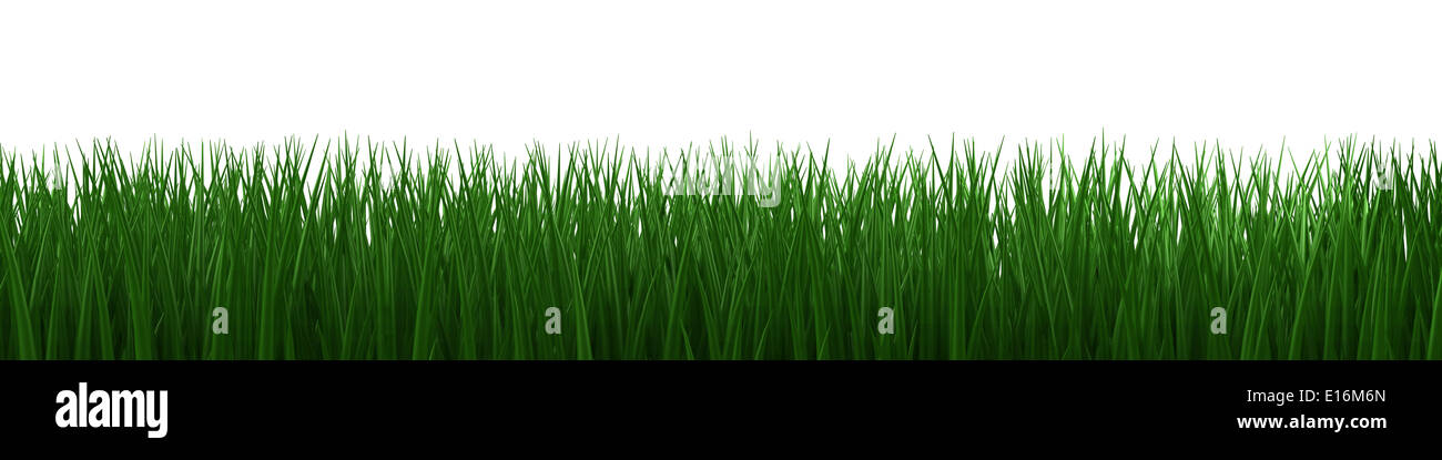 Grass (isoliert mit Clipping-Pfad) Stockfoto