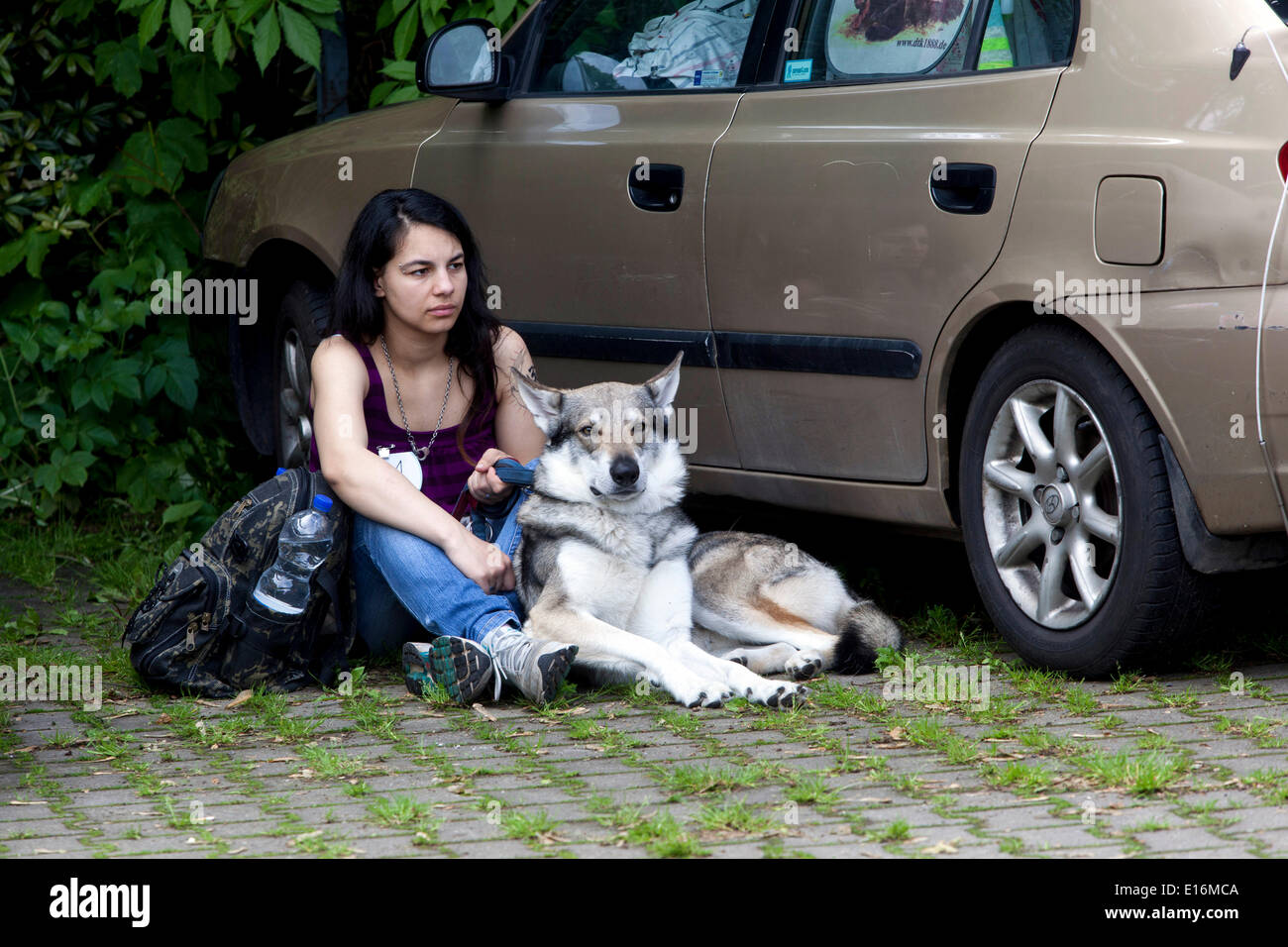 Ein treuer tschechoslowakischer Wolfdog ruht friedlich neben einer Frau während einer Pause auf ihrem Roadtrip-Abenteuer Stockfoto