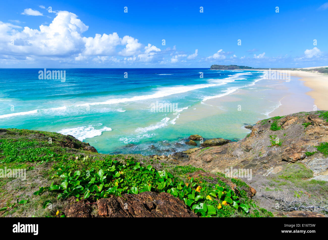 Fraser Island, Queensland, Queensland, Australien Stockfoto