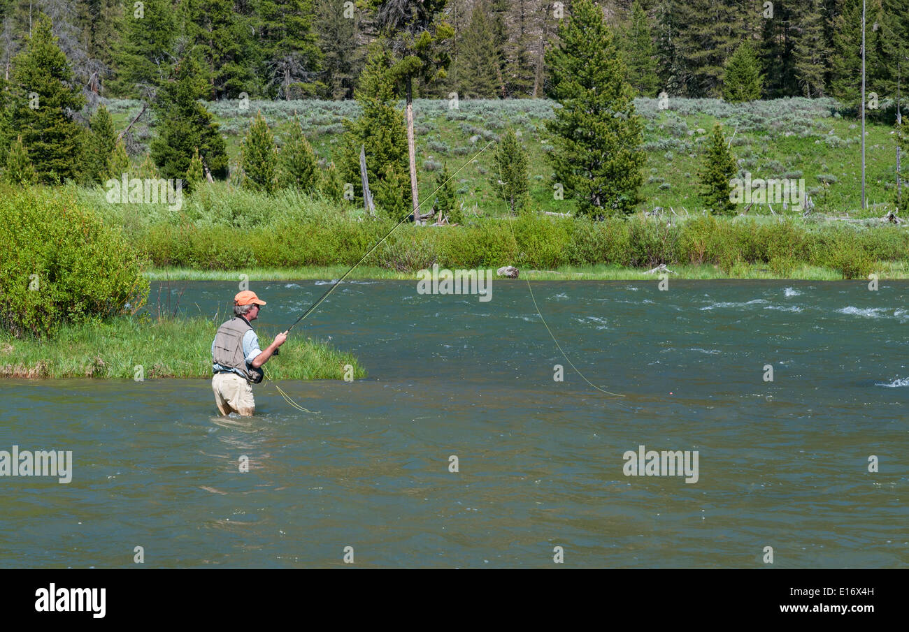 Montana, Madison River, Fliegenfischer Angeln Stockfoto