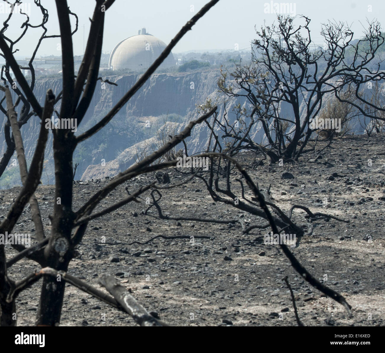 San Onofre, Kalifornien, USA. 14. Mai 2014. Der Blick nach Norden aus der San Onofre State Park of SONGS Containment Dome 3 an der Spitze des Fotos mit Containment Dome 2 dahinter. Die verkohlten Überreste von Sträuchern und Büschen, zusammen mit Asche und Schutt aus dem Pendleton West Autobahn Feuer waren noch heiß anfühlt, nach der ein Lauffeuer durch das Gebiet kommen so nah wie ein Viertel von einer Meile auf SONGS blies. Die Fensterläden San Onofre Nuclear Generating Station hat den Prozess der Stilllegung mit einer Community Engagement-Panel bestehend aus Anwohnern sowie Bürgermeister, Stadt Counc begonnen. Stockfoto San Onofre, Kalifornien, USA. 14. Mai 2014. Der Blick nach Norden aus der San Onofre State Park of SONGS Containment Dome 3 an der Spitze des Fotos mit Containment Dome 2 dahinter. Die verkohlten Überreste von Sträuchern und Büschen, zusammen mit Asche und Schutt aus dem Pendleton West Autobahn Feuer waren noch heiß anfühlt, nach der ein Lauffeuer durch das Gebiet kommen so nah wie ein Viertel von einer Meile auf SONGS blies. Die Fensterläden San Onofre Nuclear Generating Station hat den Prozess der Stilllegung mit einer Community Engagement-Panel bestehend aus Anwohnern sowie Bürgermeister, Stadt Counc begonnen. Stockfoto