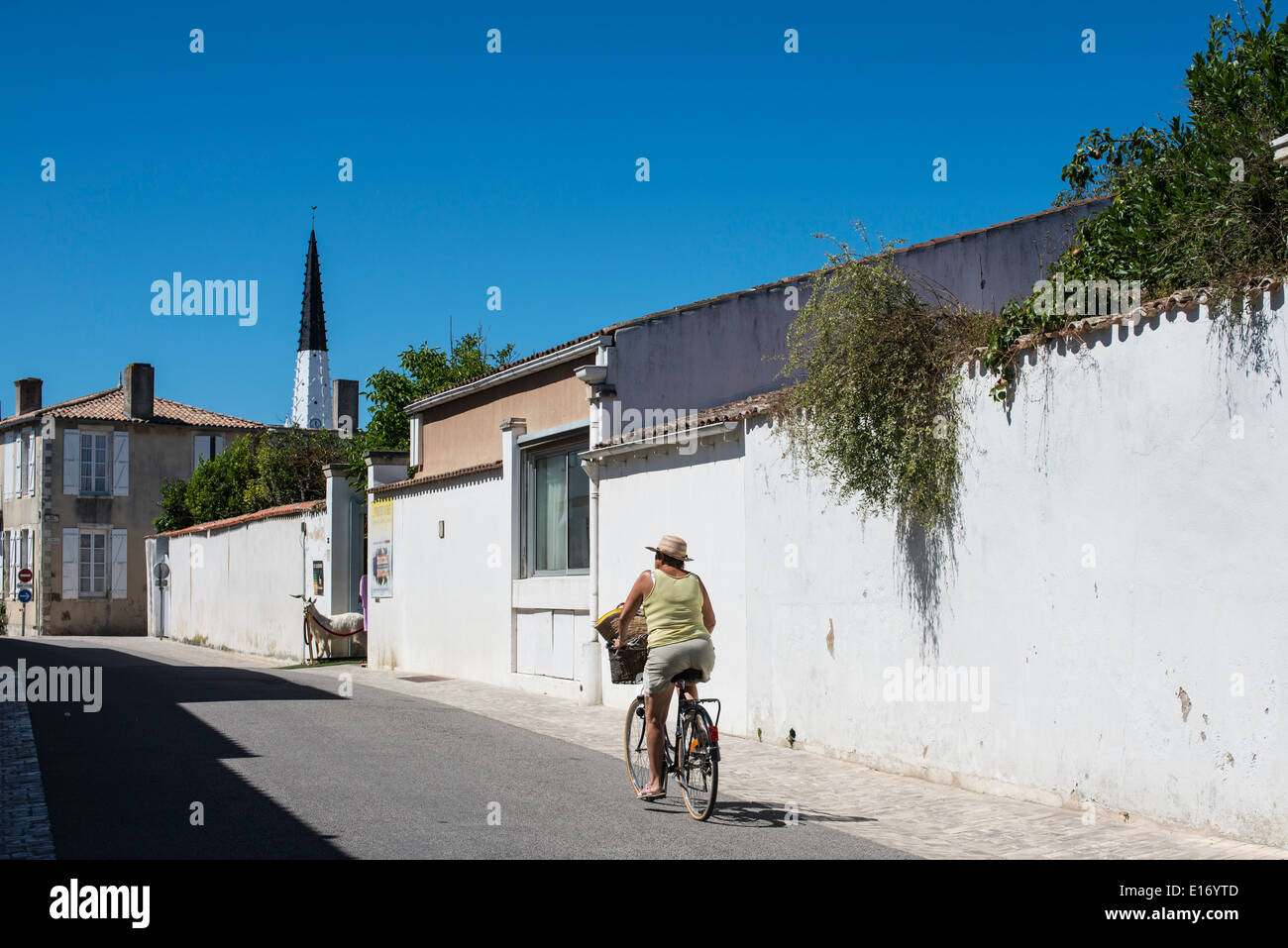 Ars de Re, Ile de Re, Frankreich Stockfoto