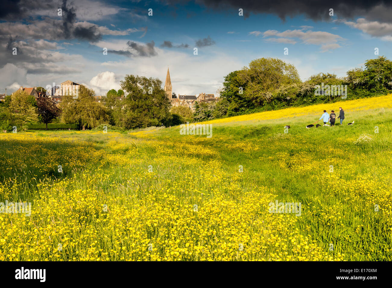 Hundebesitzer genießen Sie den Blick, wie die Gewitterwolken beginnen der Wasser-Wiese in Malmesbury, Wiltshire überrollen. Stockfoto