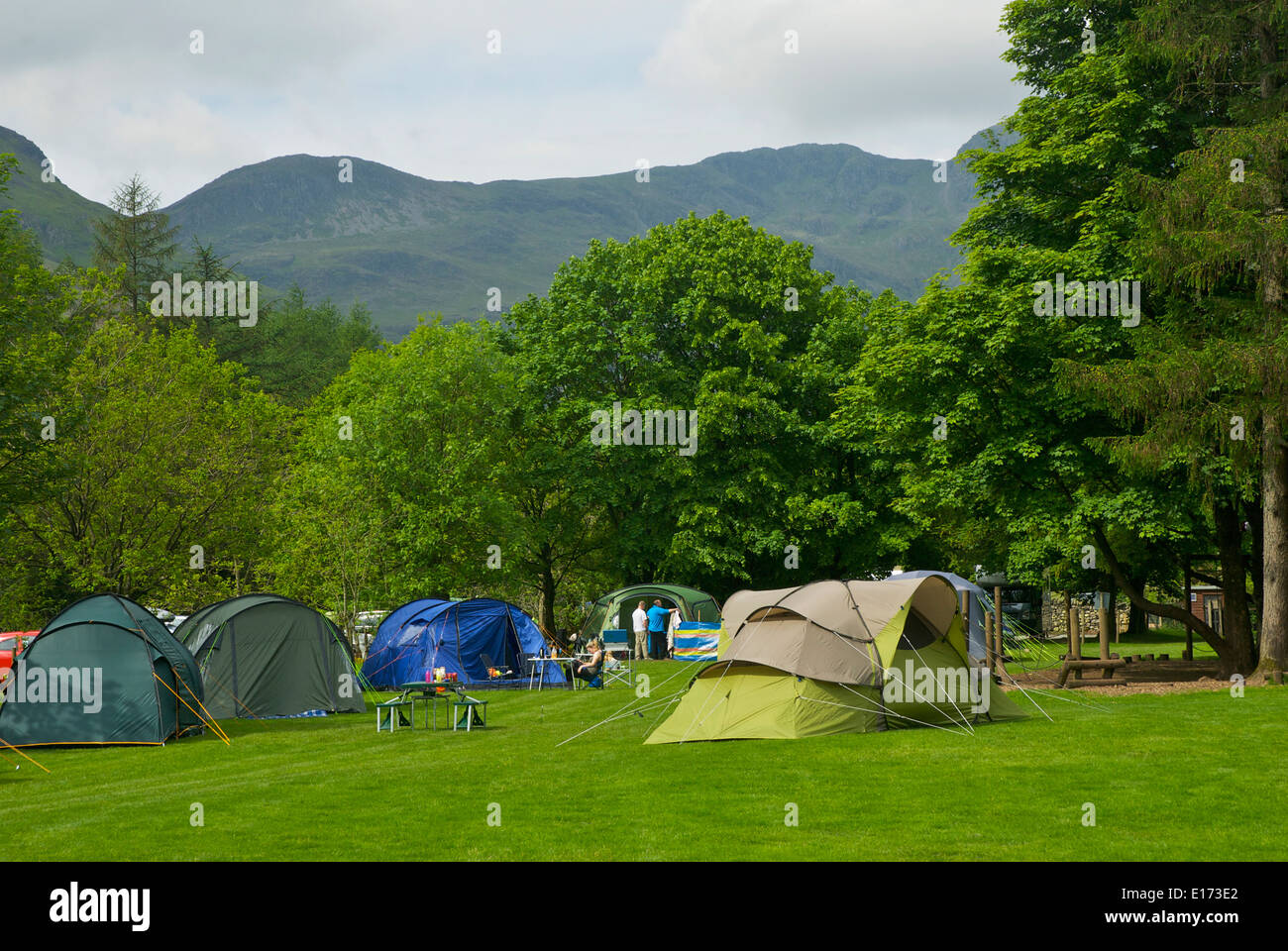 Great Langdale Campingplatz, Nationalpark Lake District, Cumbria, England UK Stockfoto