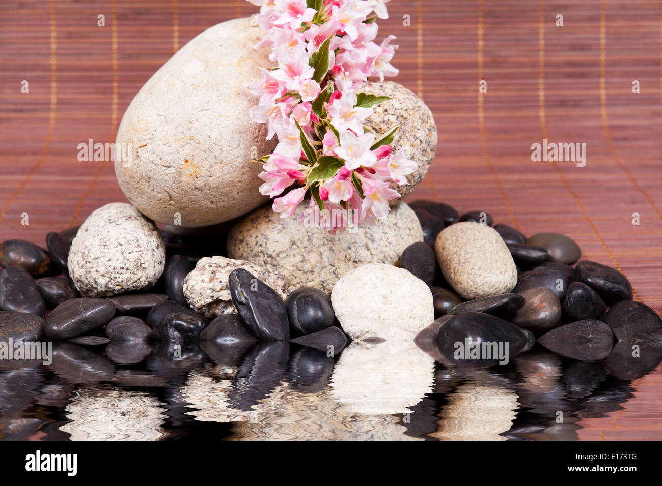 Spa-Konzept mit Zen Steinen auf Wasser, Blumen und Bambus Stockfoto
