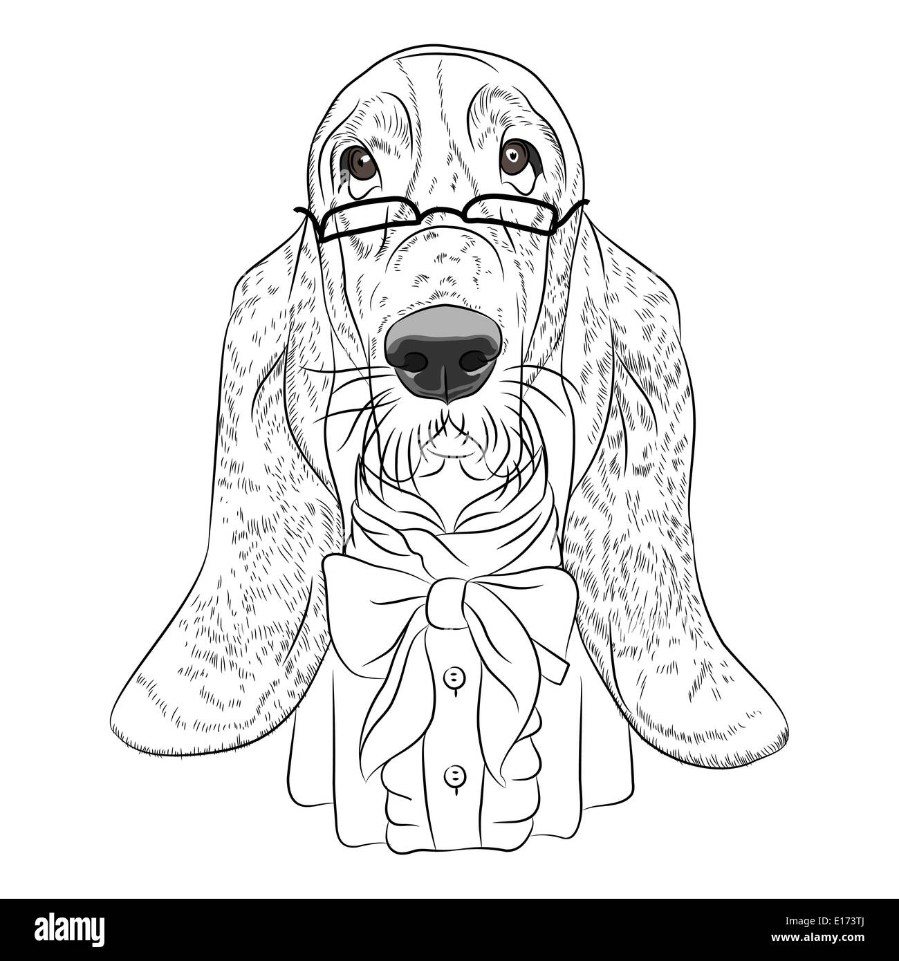 Hipster Hund Rasse Basset Hound in eine Brille und Krawatte Bogen Stockfoto
