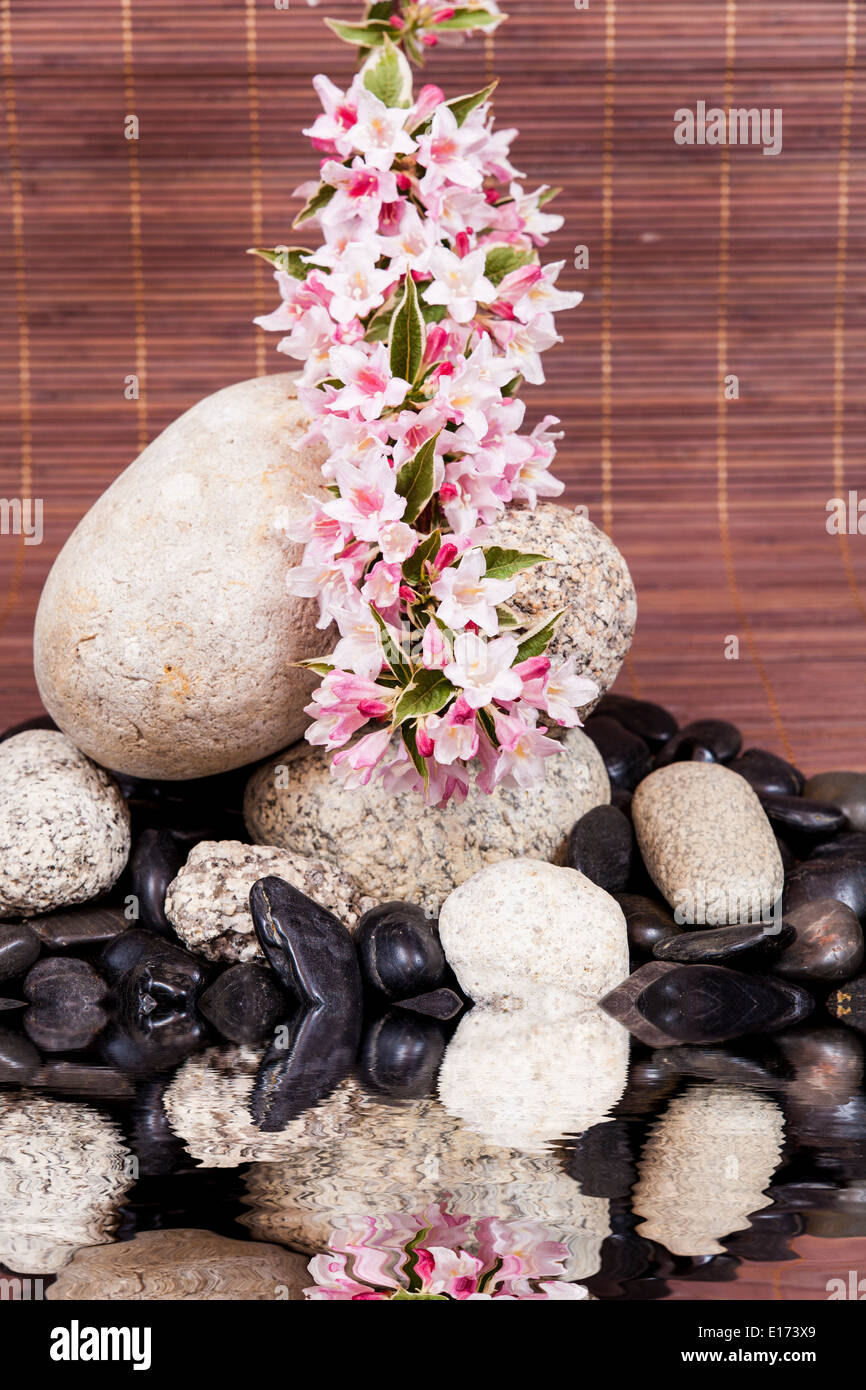 Spa-Konzept mit Zen Steinen auf Wasser, Blumen und Bambus Stockfoto