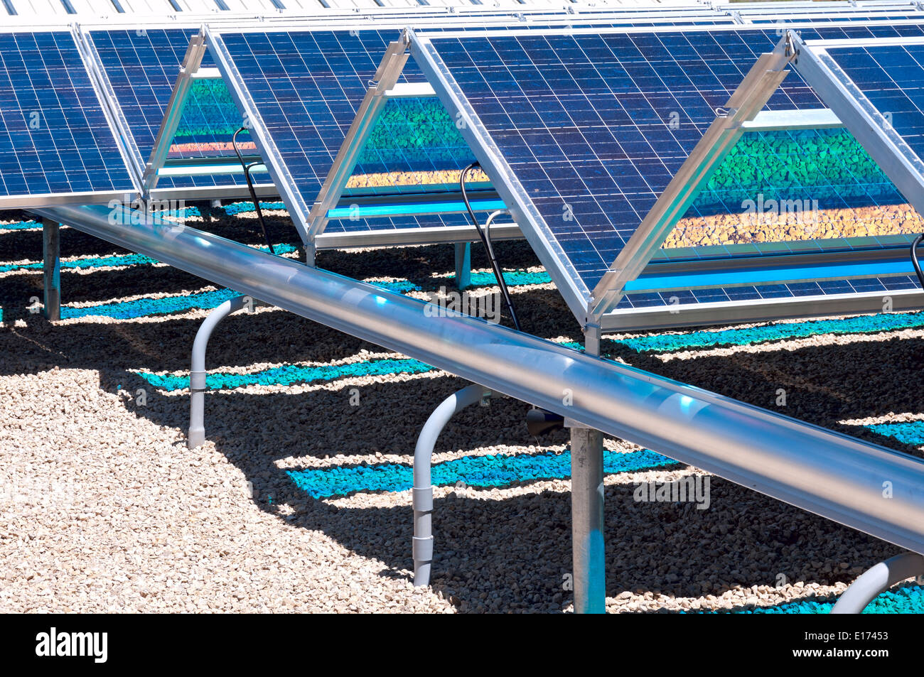 Nahaufnahme von Bodenhöhe Solarzellen mit Photovoltaik Netz Stockfoto