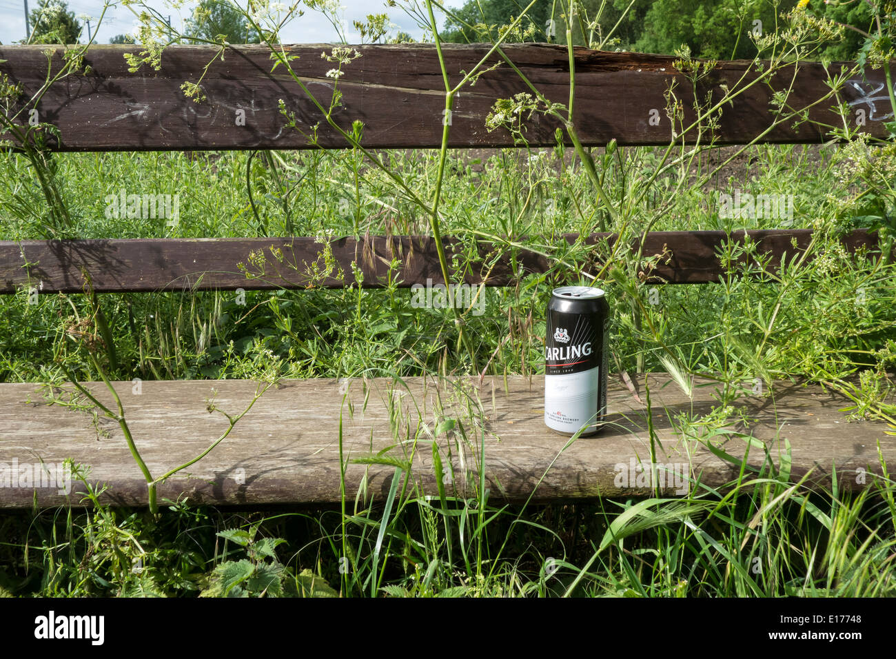 Lager kann auf überwucherten Sitz in ländlicher Lage Stockfoto
