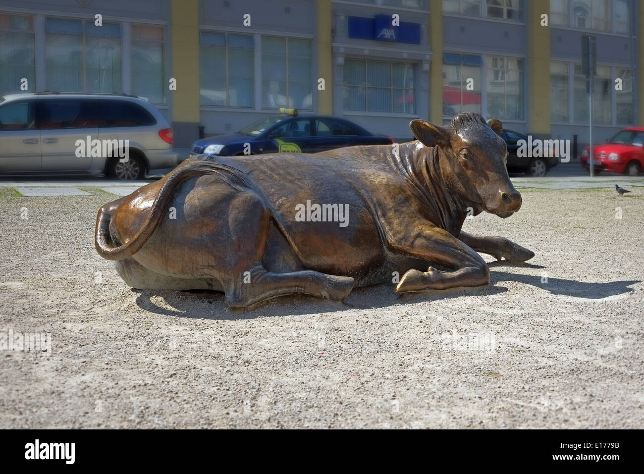 Stadt-Kuh" Wolf Ton Park Dublin, Irland Stockfotografie - Alamy