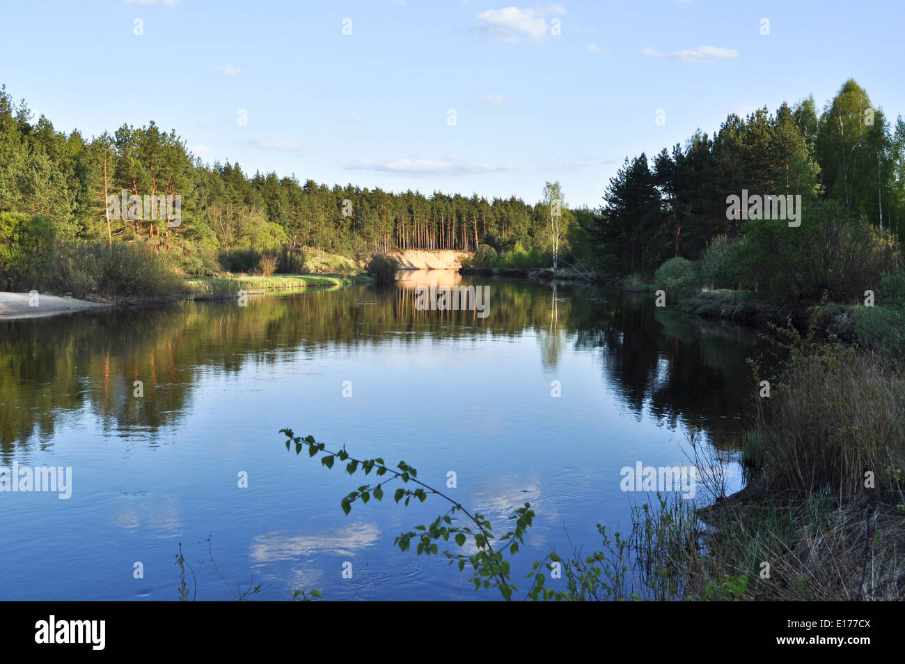 Nationalpark "Meshchera" in der Region Rjasan, Russland. Der Fluss ist im späten Frühjahr von der Sonne beschienen. Stockfoto