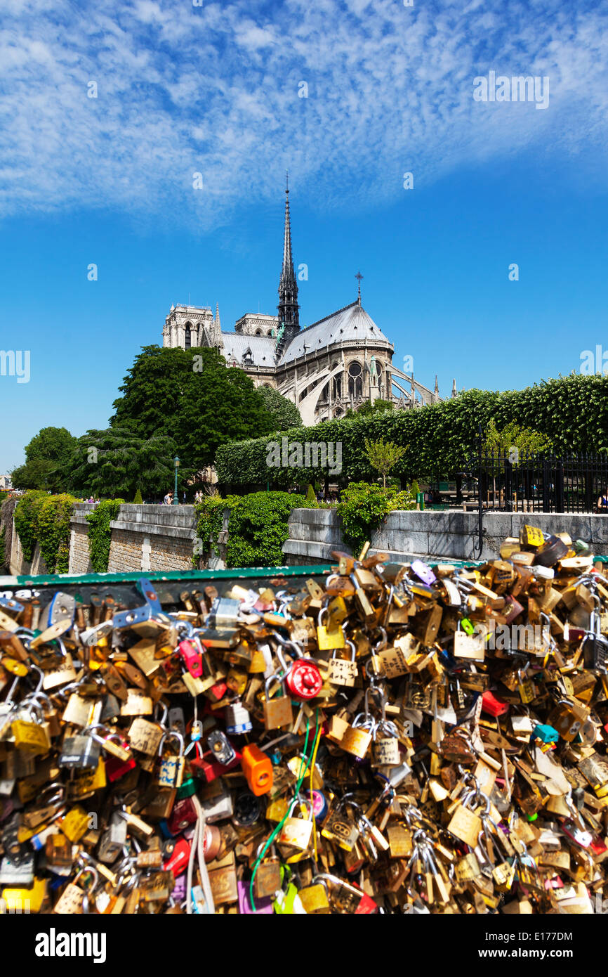 Liebesschlösser entlang Pont de l'Archevêché unterhalb der Kathedrale Notre Dame, Paris Frankreich entlang Ufer Stockfoto