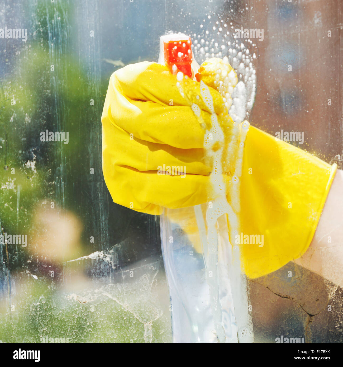 Waschen Sie Fenster aus Glas Reiniger Sprühflasche Stockfoto