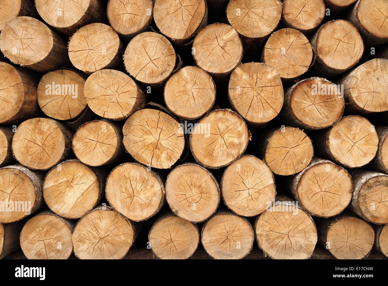 Bigwall gestapelte Holzscheite zeigt natürliche Verfärbung, Nahaufnahme Stockfoto
