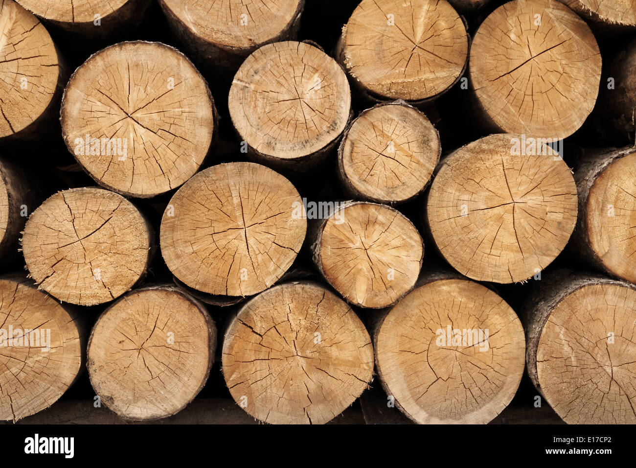 Haufen von Stückholz bereit für den Winter, äußere Landschaft, Nahaufnahme Stockfoto