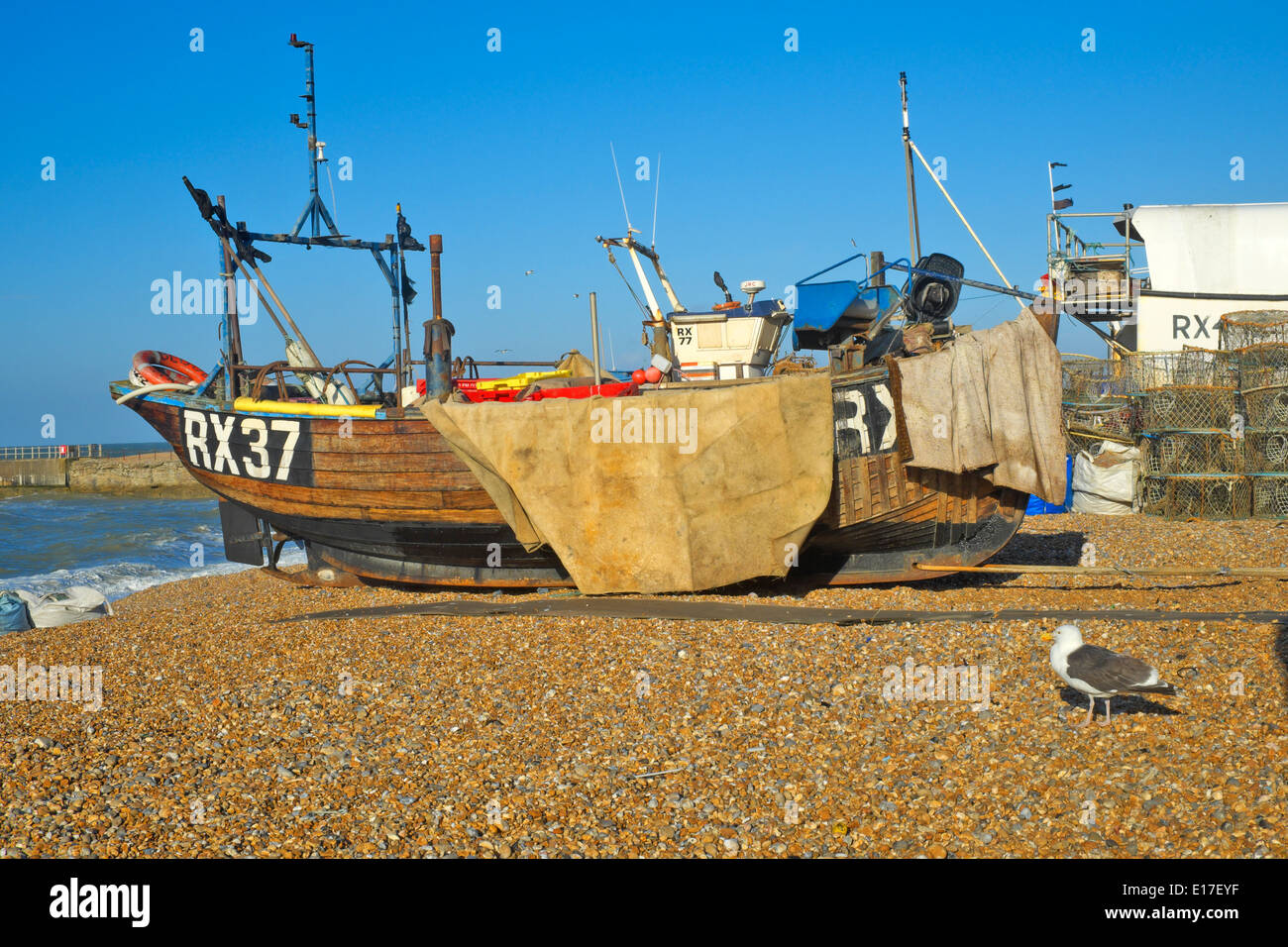 Traditionelle Hastings Fischerboot und Schwarz zurück Möwe (Larus marinus) auf der Stade Fischer Strand East Sussex England Großbritannien Stockfoto