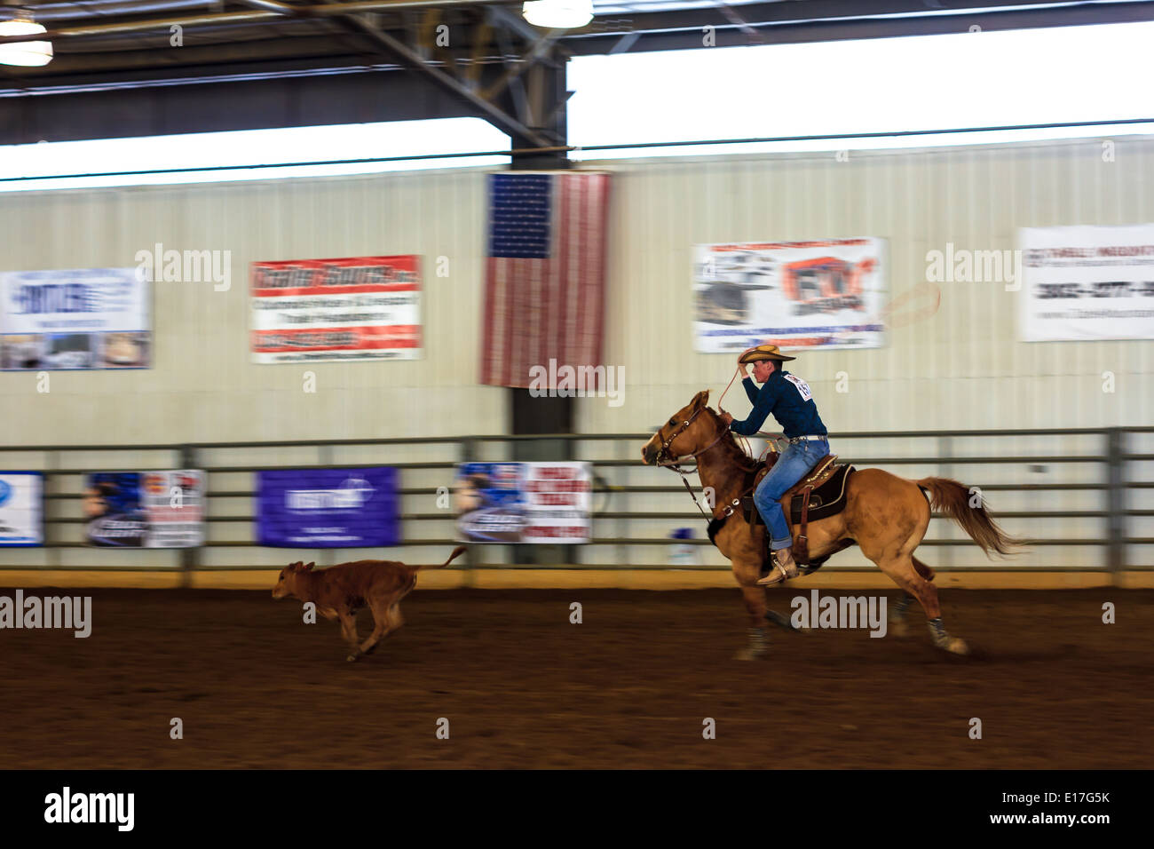 Nicke Comes von Gillette, Wyoming jagt eine Abseilen Steuern bei einem Rodeo-event Stockfoto