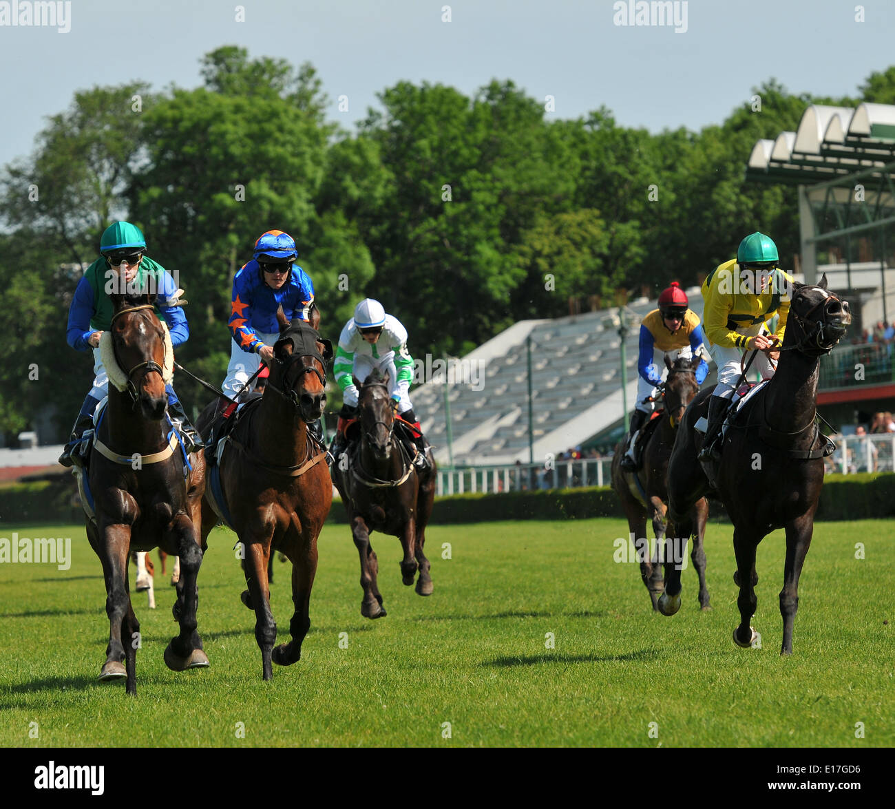 BRATISLAVA, Slowakei, 25. Mai 2014: Izop (IRE, n. 2 Links, jockey Robert Sara), Sajgon (POL, n. 8, zweite von links, jockey Radek Koplik), alle dunklen (GER, n. 4, rechts, jockey Zdenko Smida) und zwei andere Pferde laufen während des Rennens Rozmarin Hendikep. Das Hauptrennen für Frühjahr Staropramen Grand Prix vorausgegangen internationalen Gelehrten Wettbewerb, ADELI Frühling Meile und mehrere andere Rassen. Bildnachweis: Dmitry Argunow/Alamy Live-Nachrichten Stockfoto