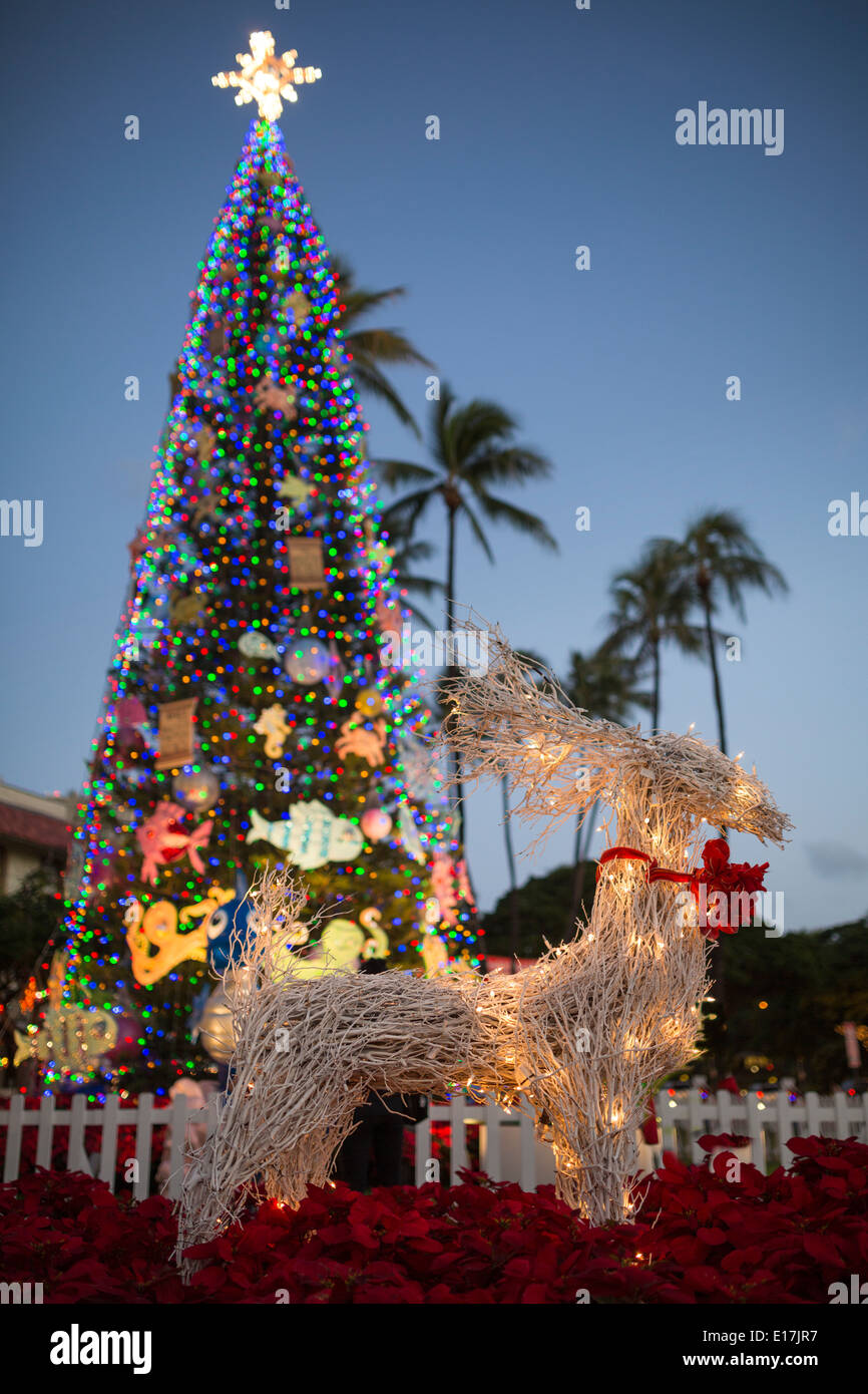 Christmas At Honolulu Stockfotos Und Bilder Kaufen Alamy