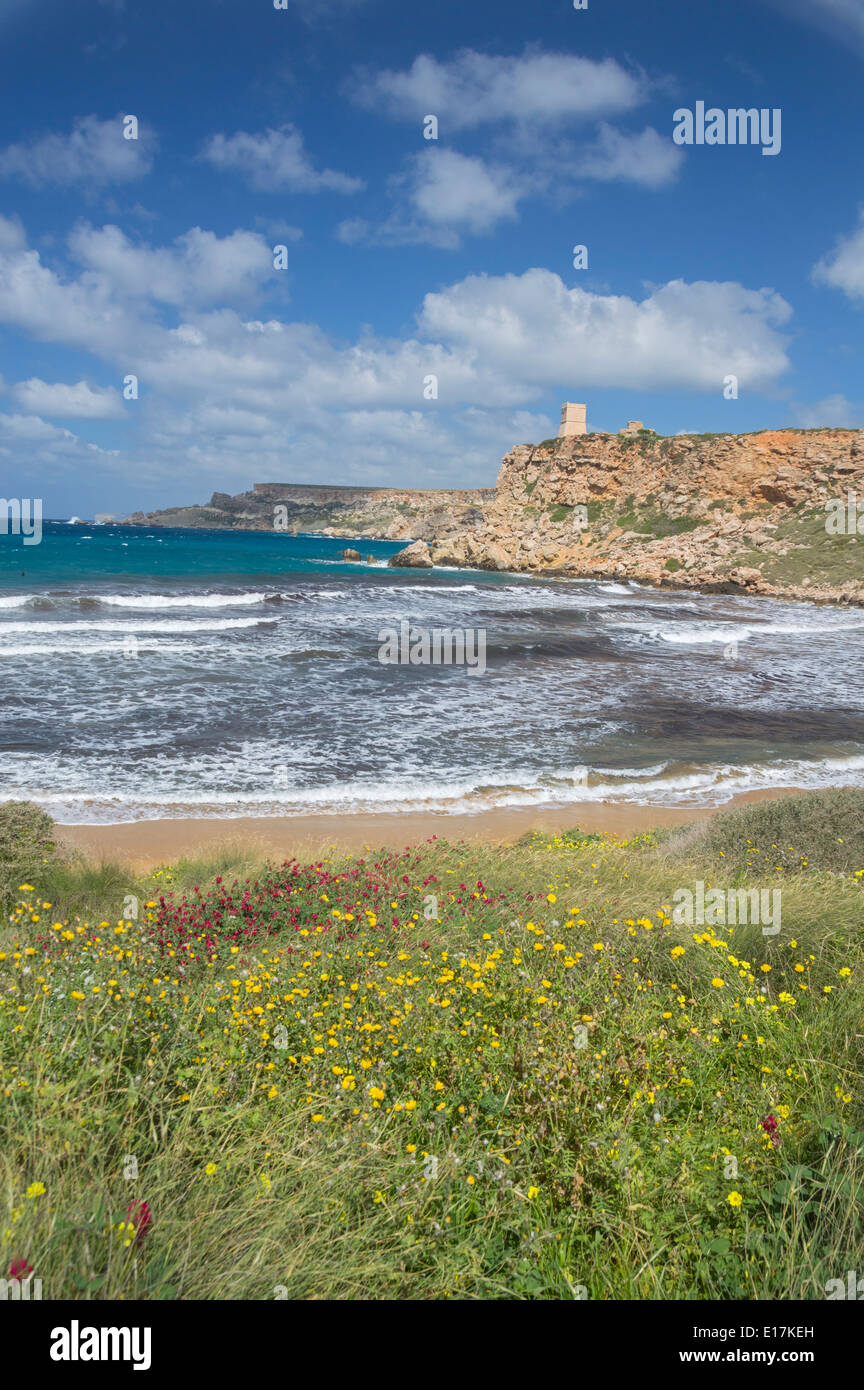 Goldener Sandstrand, Ghajn Tuffieha Bay, nördliche Malta, Europa. Stockfoto