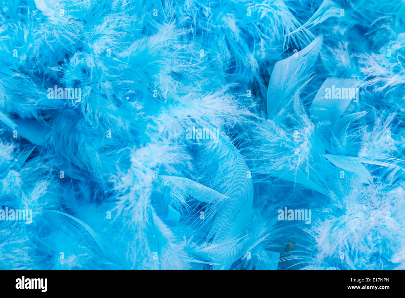 Dem Hintergrund der weiche flauschige blaue Federn. Stockfoto