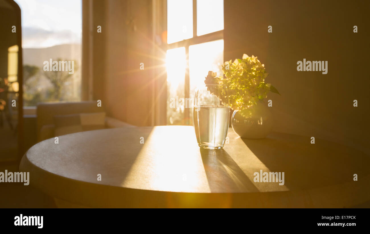Sonne im Fenster hinter Blume im Glas Stockfoto