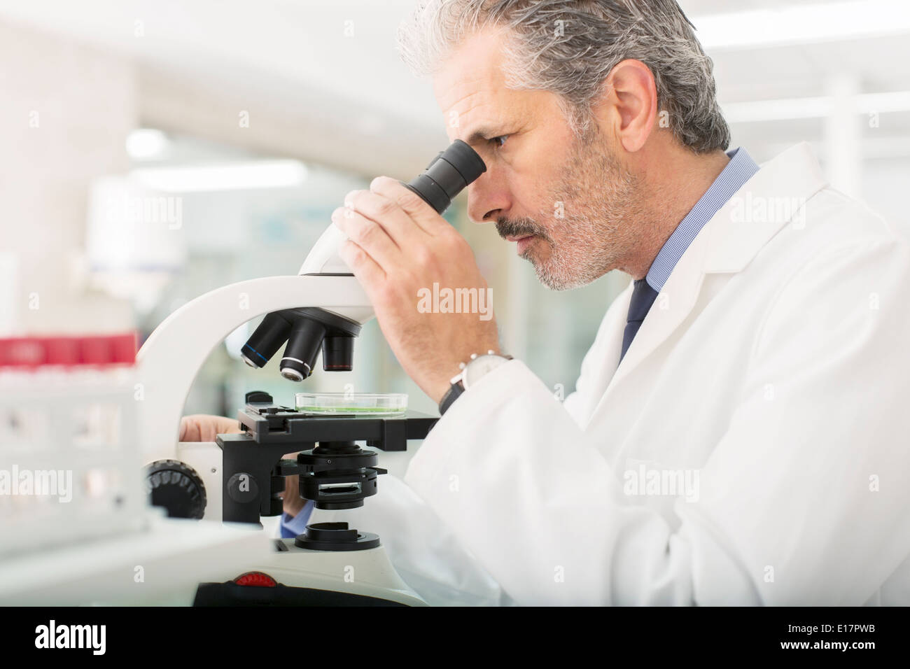 Wissenschaftler mit Mikroskop im Labor Stockfoto