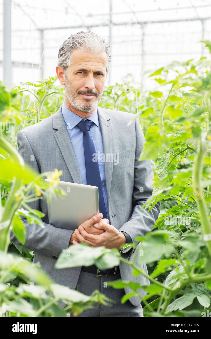 Porträt von zuversichtlich Unternehmer unter der Tomatenpflanzen im Gewächshaus Stockfoto