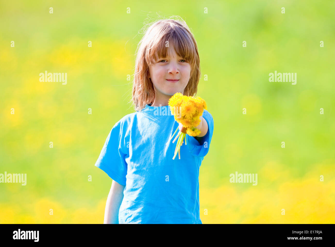 Junge hält ein Bündel von Löwenzahn in einer Frühlingswiese Stockfoto