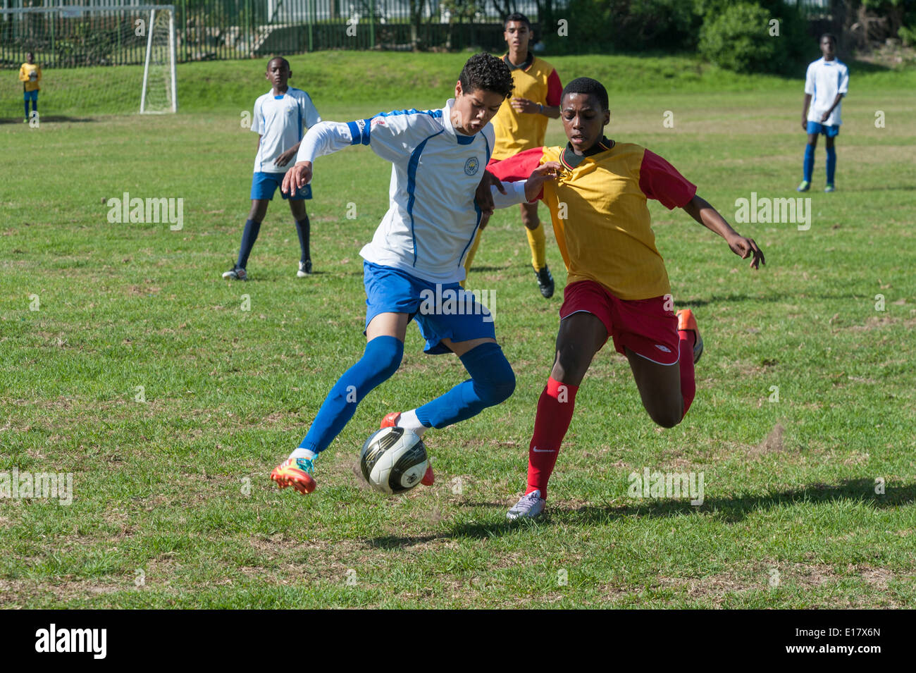 Junior Football-Spieler gegen den Ball, Cape Town, Südafrika Stockfoto