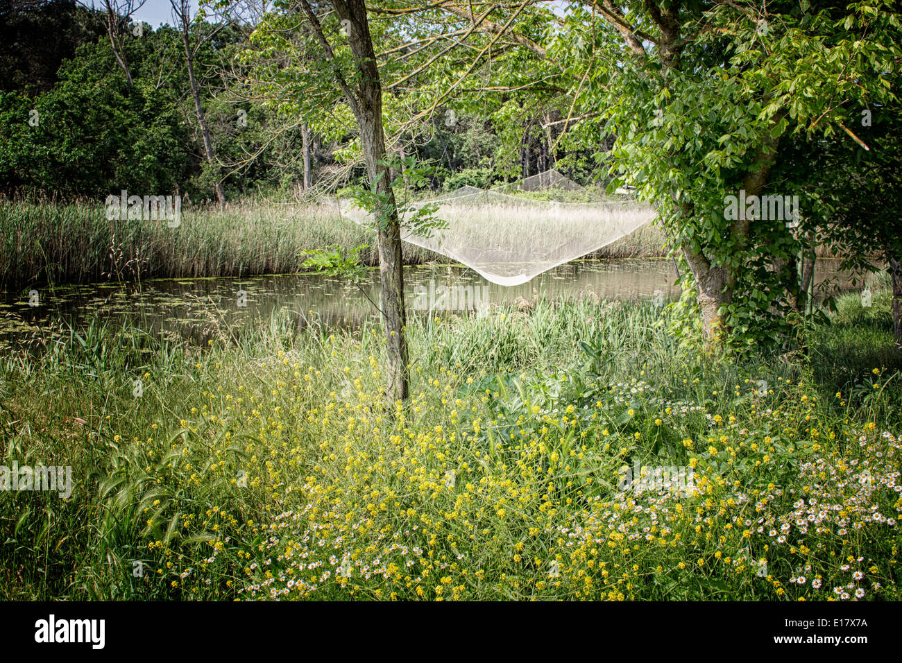 Angeln-Hütte auf der Pialassa della Baiona brackige Lagune in der Nähe von Marina Romea an Te adriatischen Küste in Ravenna (Italien) Stockfoto