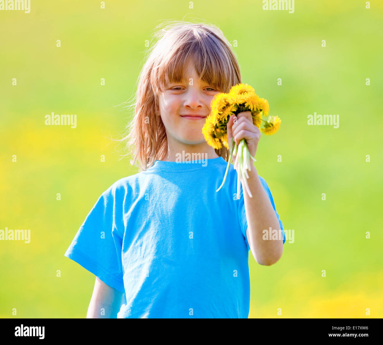 Junge hält ein Bündel von Löwenzahn in einer Frühlingswiese Stockfoto