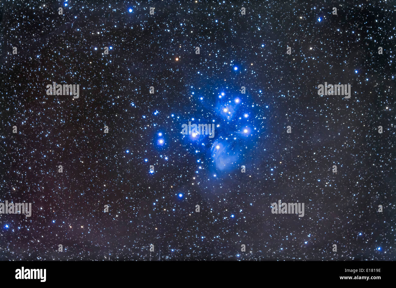 Die Plejaden-Sterne Cluster, auch bekannt als Seven Sisters oder M45 im Stier. Eine tiefe Belichtung zeigt die Reflexion-Nebel Stockfoto