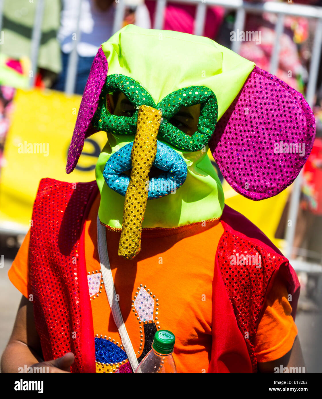 Barranquilla, Kolumbien - 1. März 2014 - Darsteller in aufwendigen Kostümen zu singen, tanzen Sie und spazieren Sie ihren Weg durch die Straßen von Barranquilla während der Battalla de Flores den Höhepunkt der Karneval de Barranquilla Paraden. Stockfoto