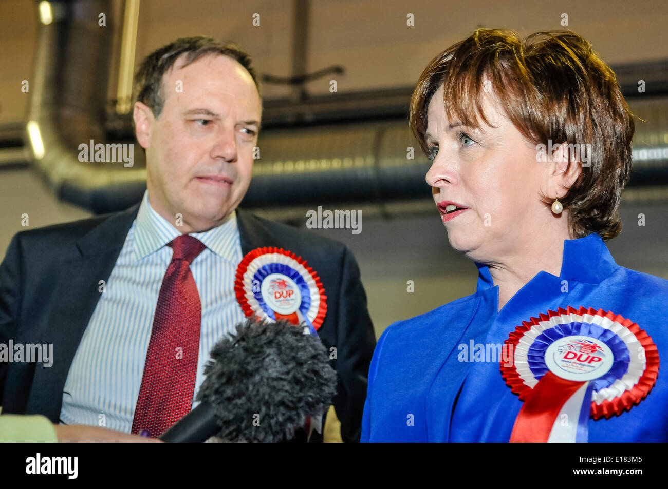 Belfast, Nordirland. 26. Mai 2014. DUP Diane Dodds kommt im Zählzentrum in Belfast für das Ergebnis der Europawahl. Bildnachweis: Stephen Barnes/Alamy Live-Nachrichten Stockfoto