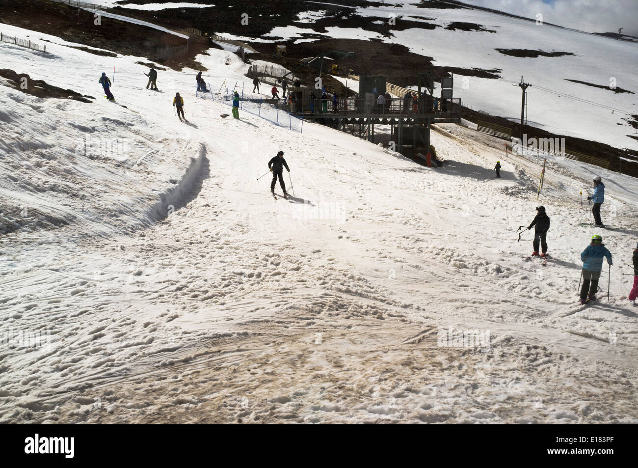 Dh Cairngorm National Park AVIEMORE INVERNESSSHIRE Skifahrer Neigung auf Schnee Schottland Winter Skigebiet Berg Stockfoto