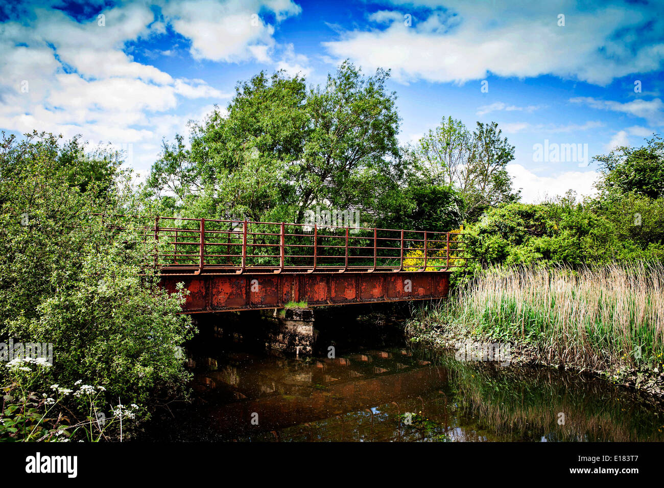 Alten Great Northern Railway Irland Eisenbahn Brücke, Carrigans, County Donegal, Irland Stockfoto