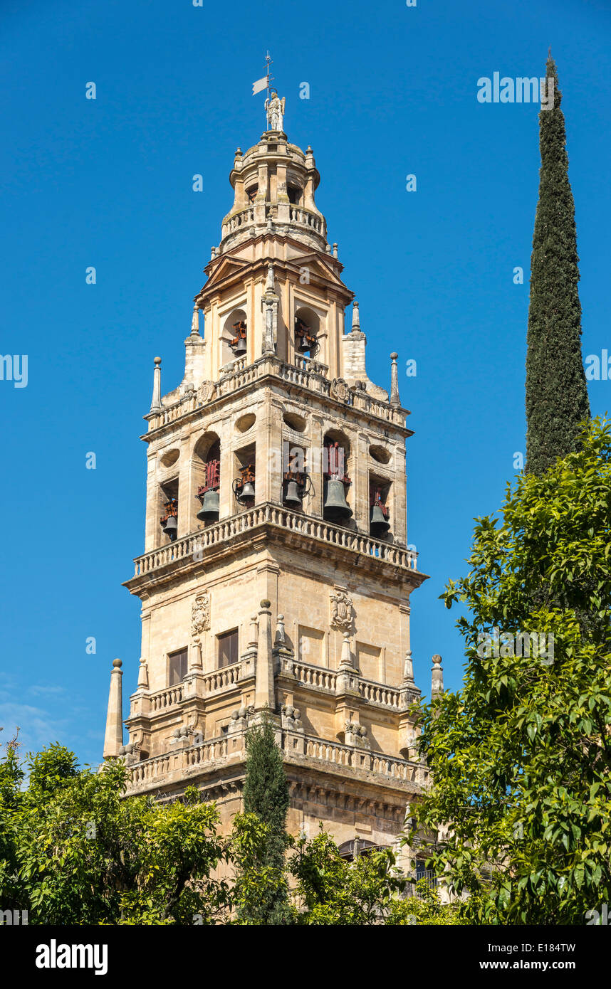 Alminar Tower, einst das Minarett der großen Moschee (La Mezquita), Cordoba, Spanien Stockfoto