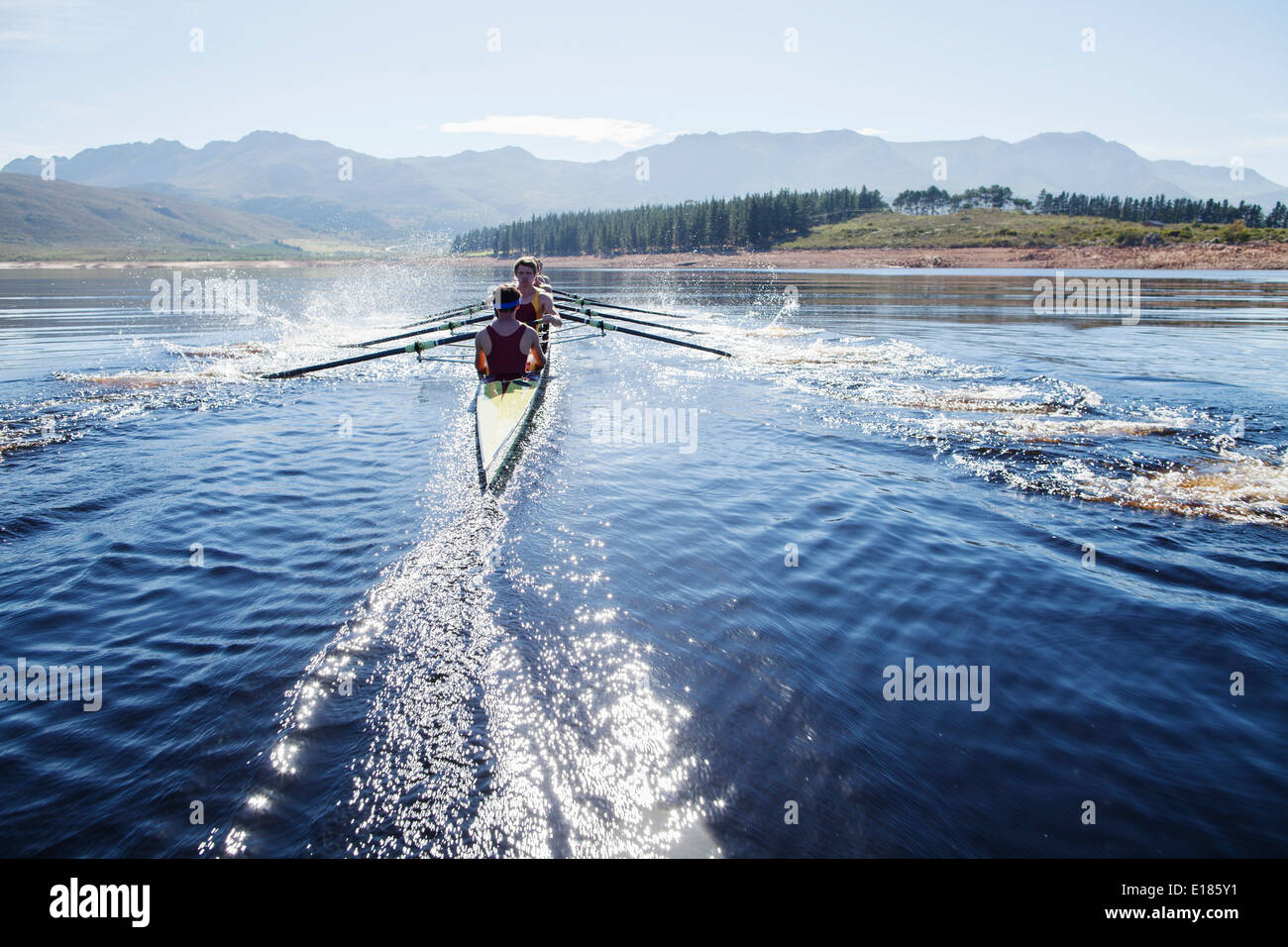 Mannschaft Rudern Scull auf See rudern Stockfoto