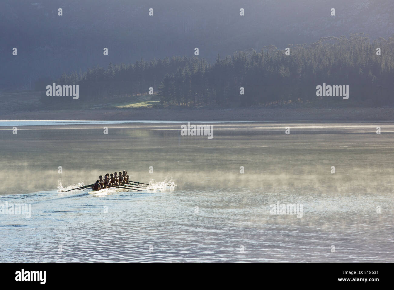 Mannschaft Rudern Scull auf See rudern Stockfoto