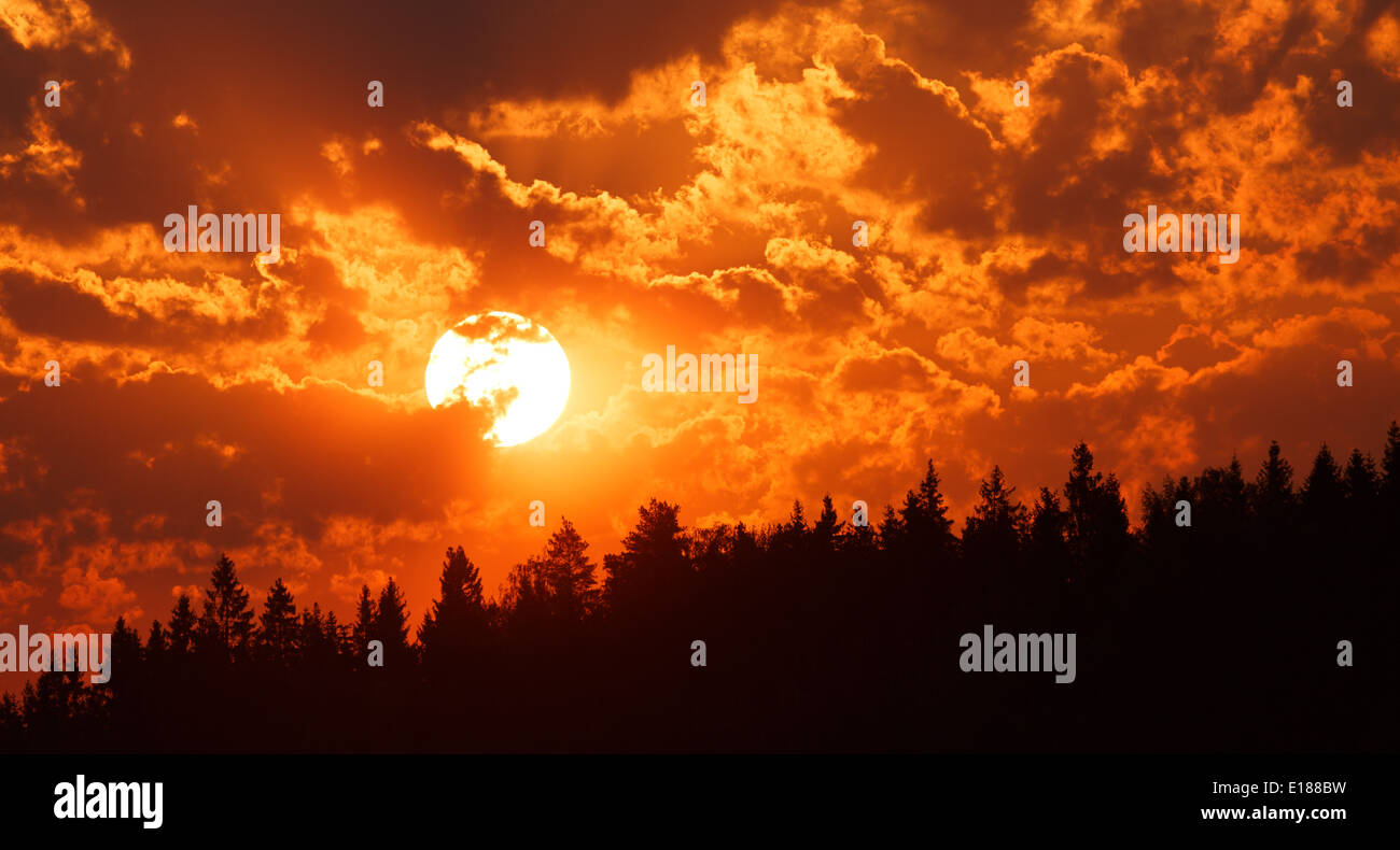 Sonnenaufgang um 04:00 Ende Mai über die Silhouette eines finnischen Hang Waldes durch ein Teleobjektiv. Stockfoto