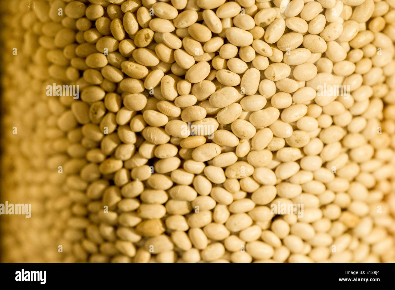 Sojabohnen in einem Glas in Baltimore, Maryland, USA Stockfoto